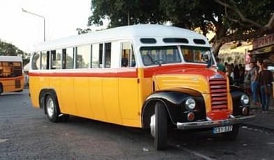 Maltese - Vintage-bus