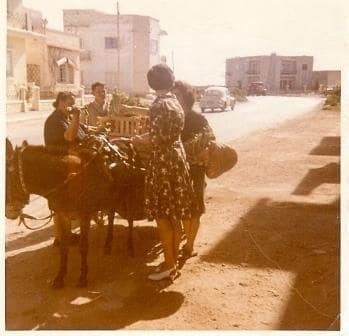 Donkey Deliveries in Malta